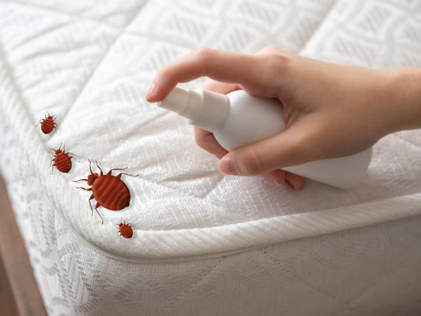 Best Residential Pest Control  in St Martinville, LA